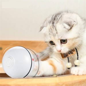 Smart Interactive  P...