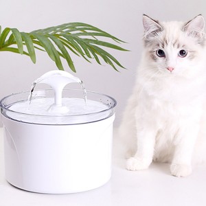 2.5L Cat Drinker Aut...