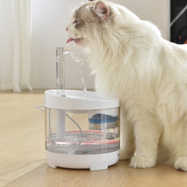 Cat Water Fountain Dog Dispenser 54oz 1.6L Automatic Pet Drinking Transparent Upgraded Filter Adjustable Silent Pump Adapter