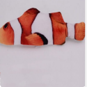 Jeteven Cat Clownfish Carp with Catnip Charging Cable Catnip Puppy Toy Pet Supplies Dog Playing - #1