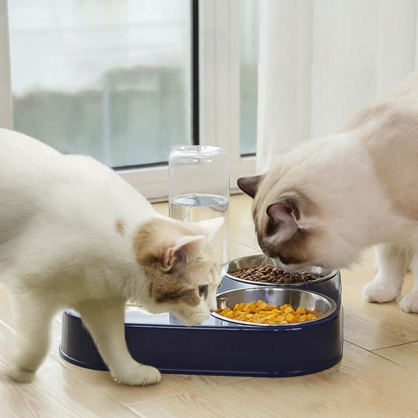 500ML 3 in 1 Dog Feeder Bowl With Dog Water Bottle Cat Automatic Drinking Bowl Cat Food Bowl Pet Stainless Steel Double 3 Bowls 