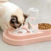 Pet Bowl Automatic F...