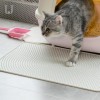 Cat Litter Pad Silic...