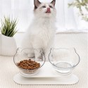 Cat Elevated Bowl Raised The Bottom Transparent Puppy Bowl With Holder Anti-slip Single/Double Feeders Protect Pet Spine for Cat