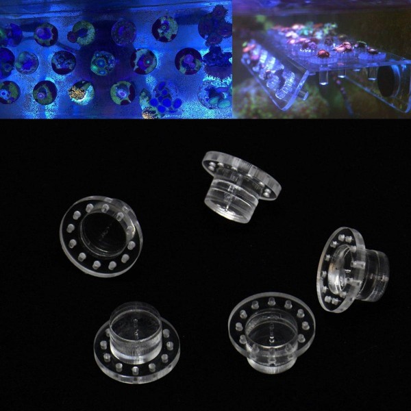 5pcs Bag Acrylic Marine  Coral Frag Plugs Kits Reef Fish Tank