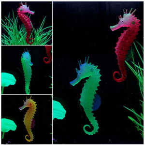 Artificial  Sea Hors...
