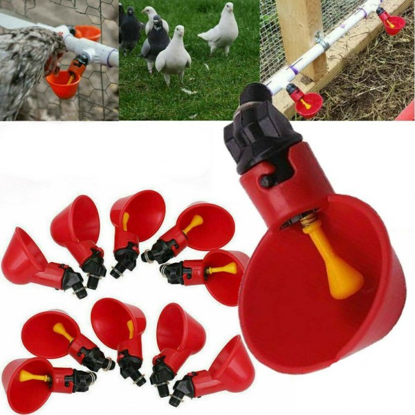 Plastic Poultry Water Drinking Cup Chicken Hen Bird Automatic Drinker Pigeons Quails Birds Chickens Supplies