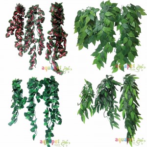 Reptile Vivarium Rea...