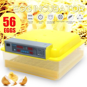 56 Automatic Egg Inc...