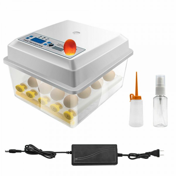 110-220V 16 Eggs Mini Fully Automatic Incubators Small Egg Hatcher Chicken Bird Egg - US Dual Power Supply