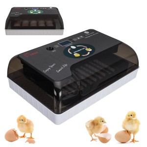 AC 110-220V 20 Eggs ...