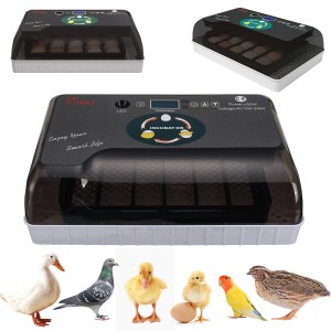 AC 110-220V 20 Eggs ...