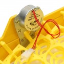 Automatic Egg Incubator 56 Eggs Turner Tray Chicken Quail Duck With 110V/220V - 220V