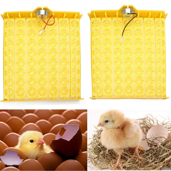 Automatic Egg Incubator 56 Eggs Turner Tray Chicken Quail Duck With 110V/220V - 220V