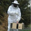 Beekeeping Protectiv...