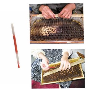 Beekeeping Tools Bee...