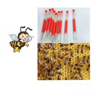 Beekeeping Tools Bee...