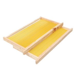 10Pcs Bees Wax Found...